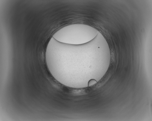 X0000111680375200907171509