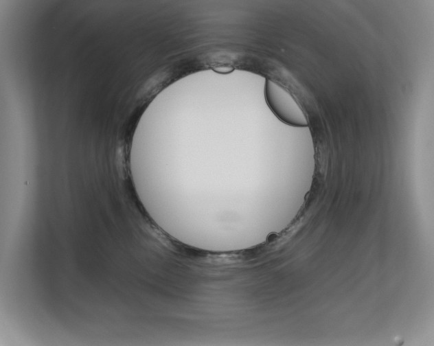 X0000111680378200907171509