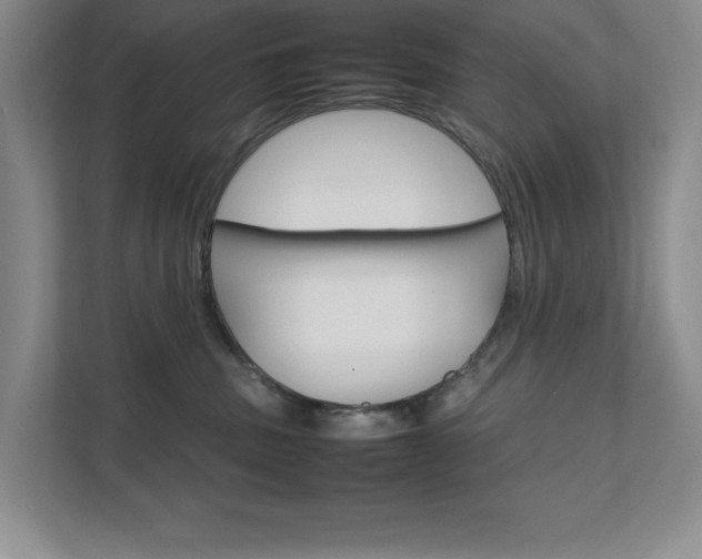 X0000111680379200907171509