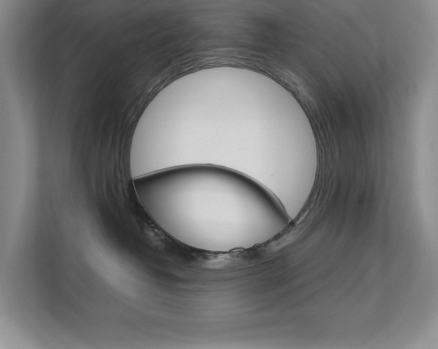 X0000111680382200907171509
