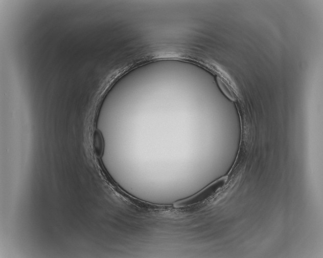 X0000111680385200907171509
