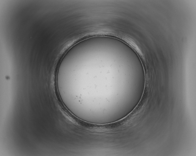 X0000111680389200907171509