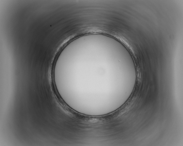 X0000111680390200907171509
