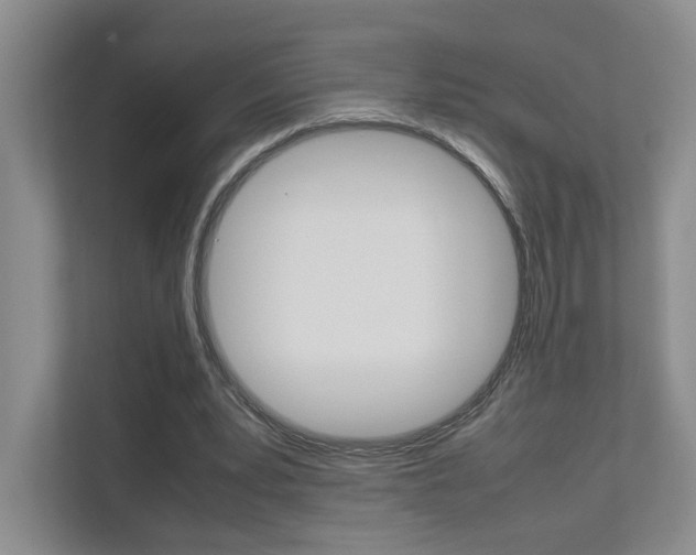 X0000111680391200907171509