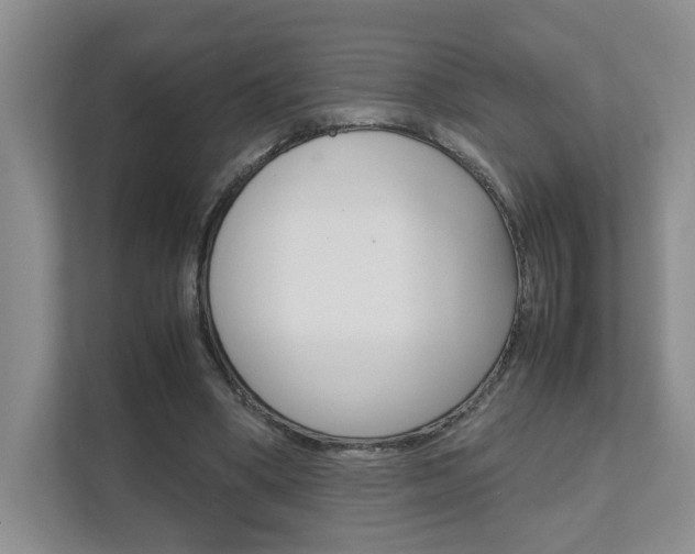 X0000111680394200907171509