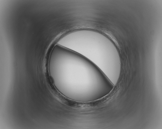 X0000111680395200907171509