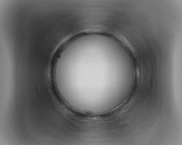 X0000111680396200907171509
