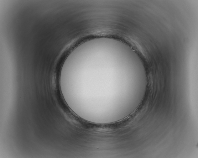 X0000111680400200907171508