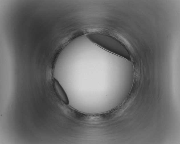 X0000111680401200907171508