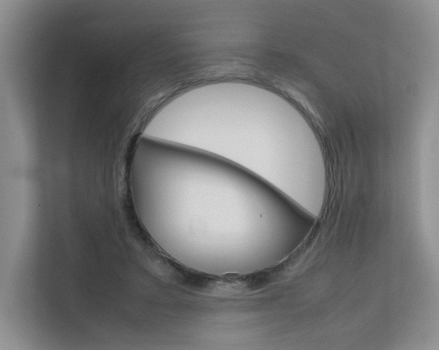 X0000111680403200907171508