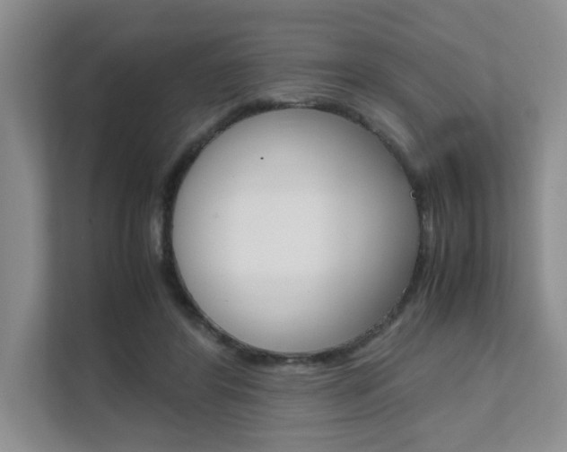 X0000111680404200907171508