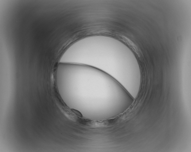 X0000111680405200907171508