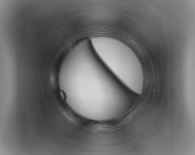 X0000111680408200907171508