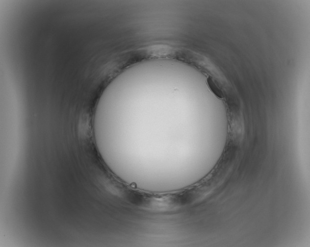 X0000111680411200907171508