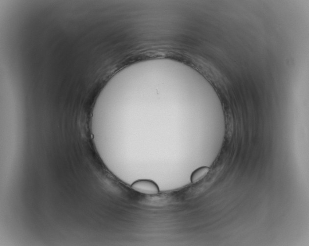 X0000111680414200907171508