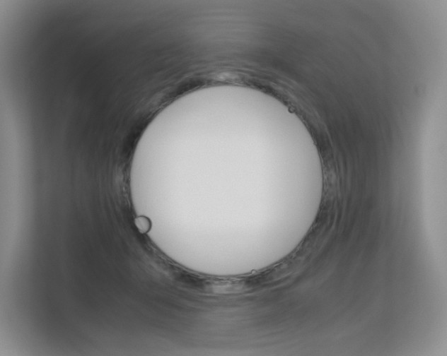 X0000111680415200907171508