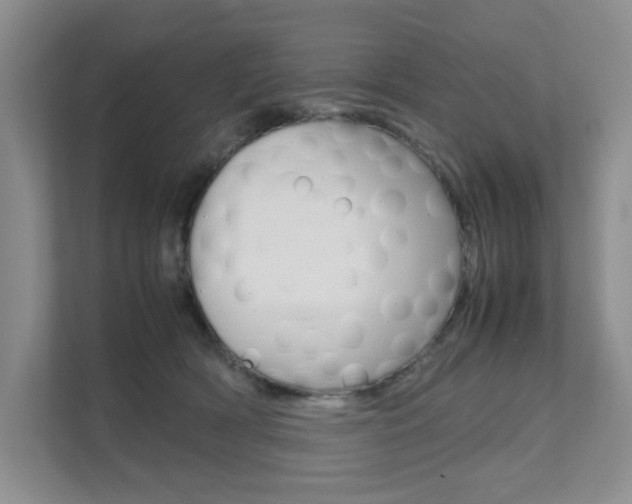 X0000111680418200907171508