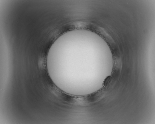 X0000111680419200907171508