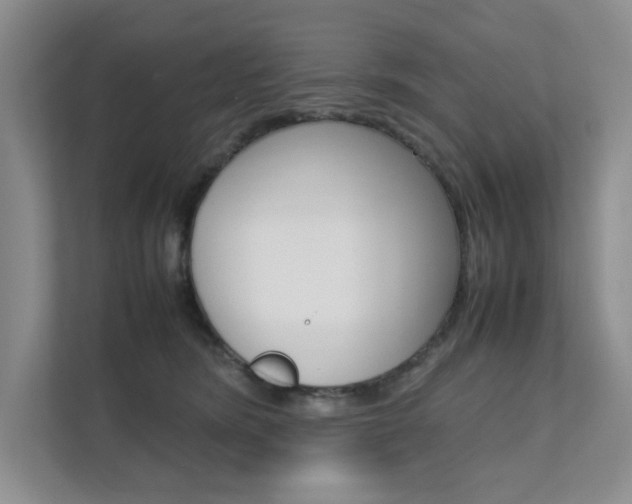 X0000111680420200907171508