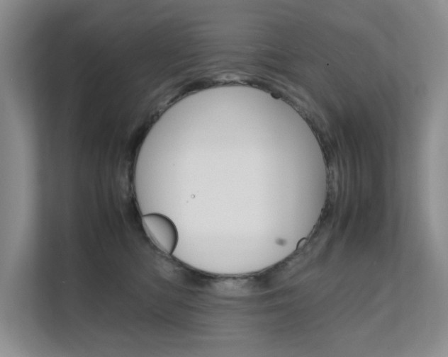 X0000111680422200907171508