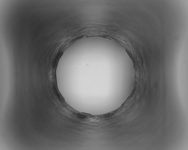 X0000111680423200907171508