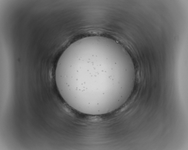 X0000111680424200907171508