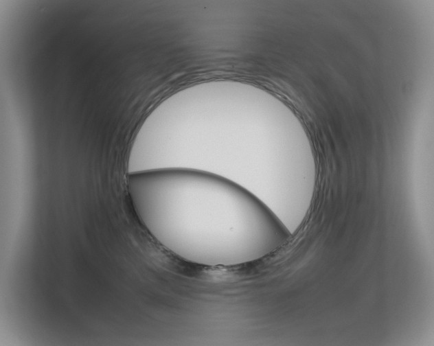 X0000111680425200907171508