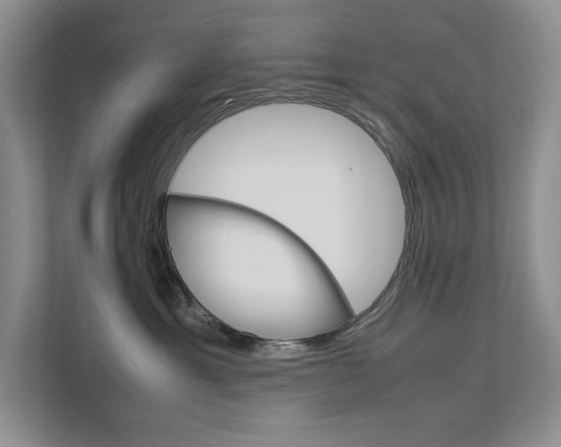 X0000111680429200907171508