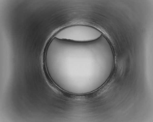 X0000111680438200907171507