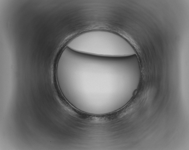 X0000111680442200907171508