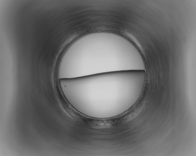 X0000111680443200907171508
