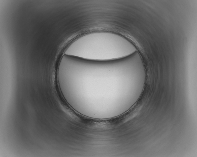 X0000111680446200907171508