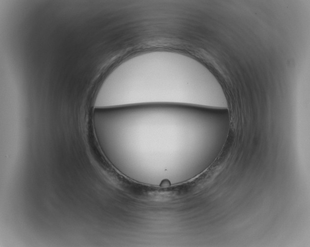 X0000111680448200907171508