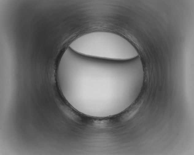 X0000111680450200907171508