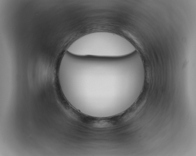 X0000111680451200907171508