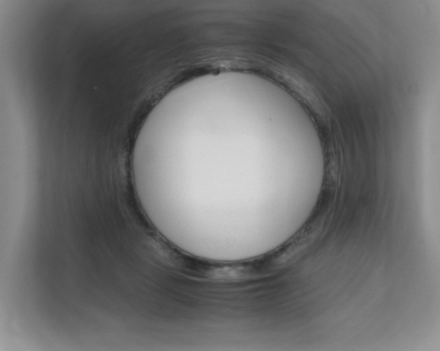 X0000111680461200907171508
