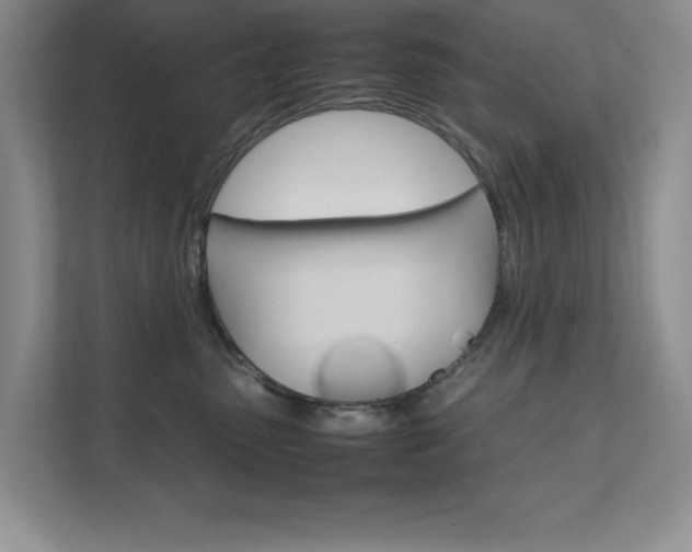 X0000111680475200907171508