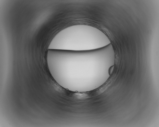 X0000111680477200907171508