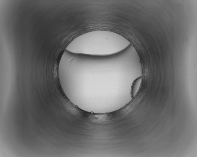 X0000111680478200907171508