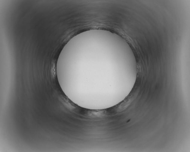 X0000111680479200907171508