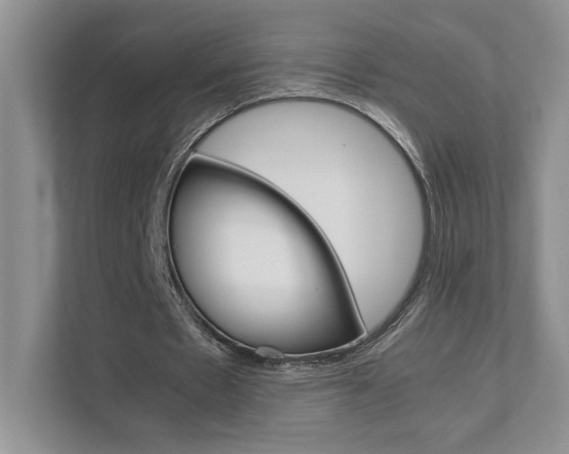 X0000111680481200907171507