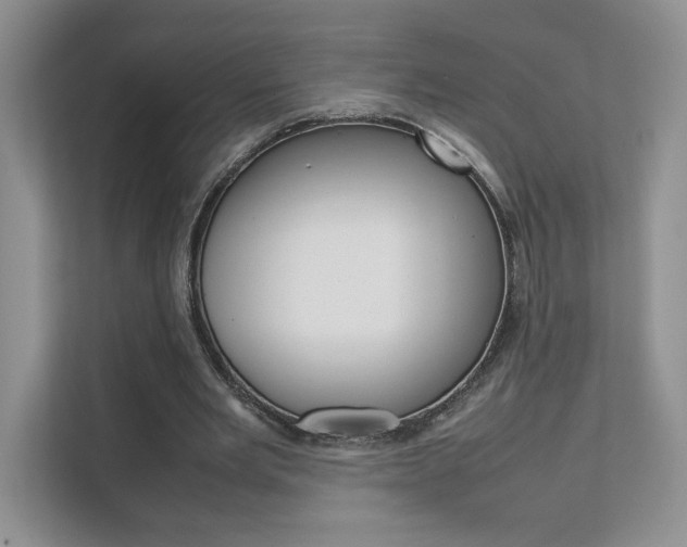 X0000111680485200907171507