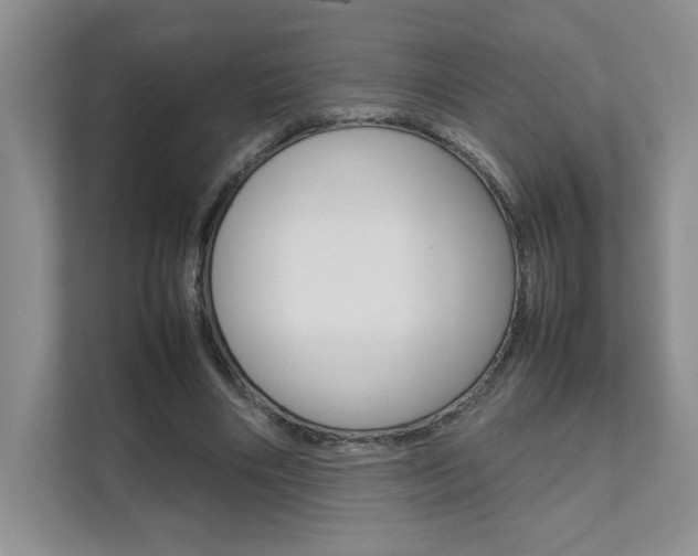 X0000111680490200907171507