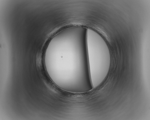 X0000111680492200907171507