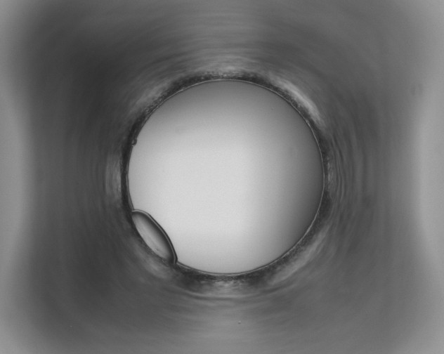 X0000111680493200907171507