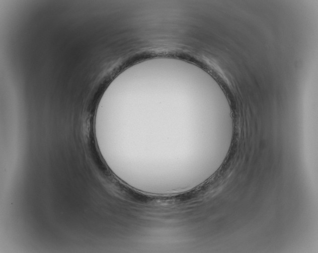 X0000111680495200907171507