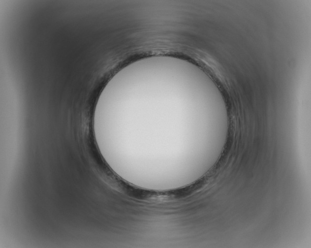 X0000111680499200907171507