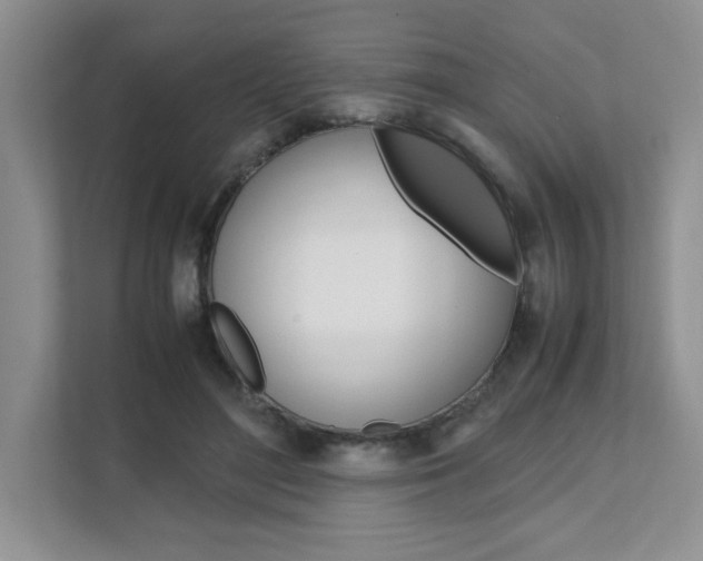 X0000111680500200907171507