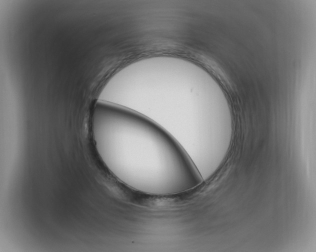 X0000111680501200907171507