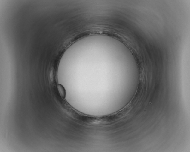 X0000111680504200907171507